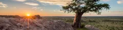 Banner Northern Tuli Game Reserve Botswana Mashatu Game Reserve Isak Pretorious