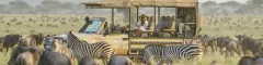Banner Tours and Safaris to Tanzania Serengeti Oliver Fly Photography